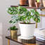 Nursery Pot-1044112430