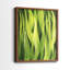 «Blades of Grass I», reproduction encadrée de qualité supérieure - prête à être accrochée - aucun clou requis - aucun clou requis-922319163-922319303