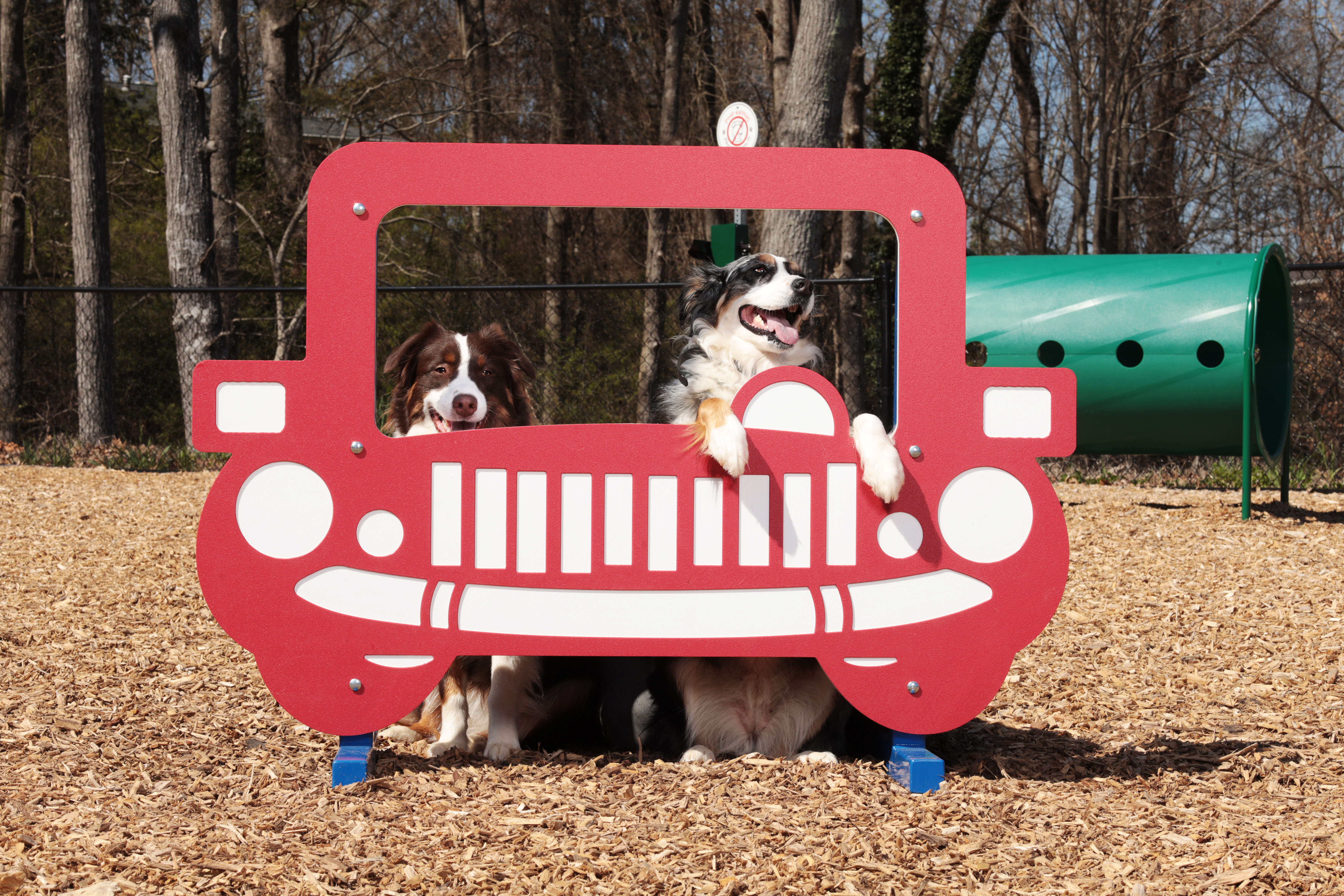 Puppy Paradise Recycled Plastic Dog Park Play Equipment