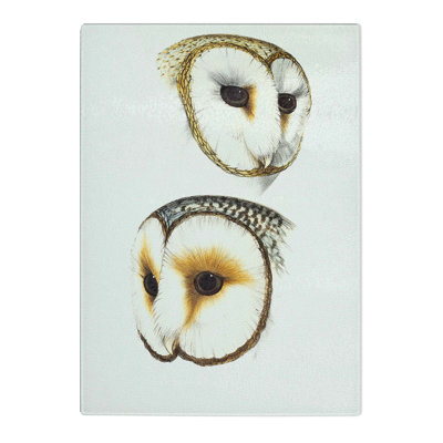 Tempered Glass Illustration of Two Owls by John Gould Chopping Board