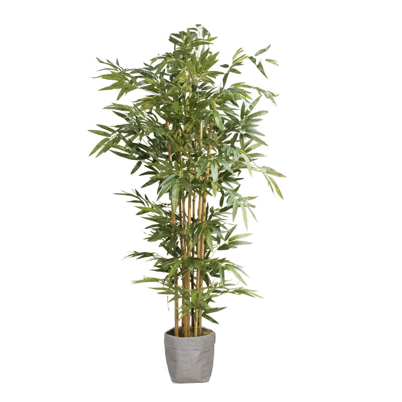 Arbre en bambou 72 po avec doublure en pot écologique