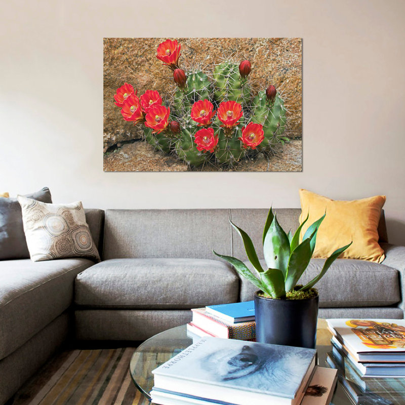 « claret cup cup fleuring », impression sur toile, H 12 po x l 18 po x P 1,5 po