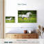 Corbeau cheval Appaloosa-111979211