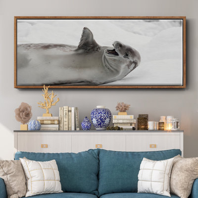 «Laughing Seal» - Toile encadrée