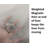Dareios Vinyl Liner-893249022-920599993