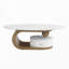 Ensemble de 2 tables basses gigognes-112908559-117204452