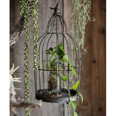 Présentoir de jardin rétro