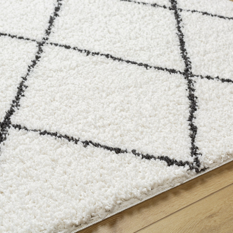 Cassundra Rectangle Geometric Machine Woven Polyester Area Rug in Charcoal/White, Rectangle 5'3" x 7'