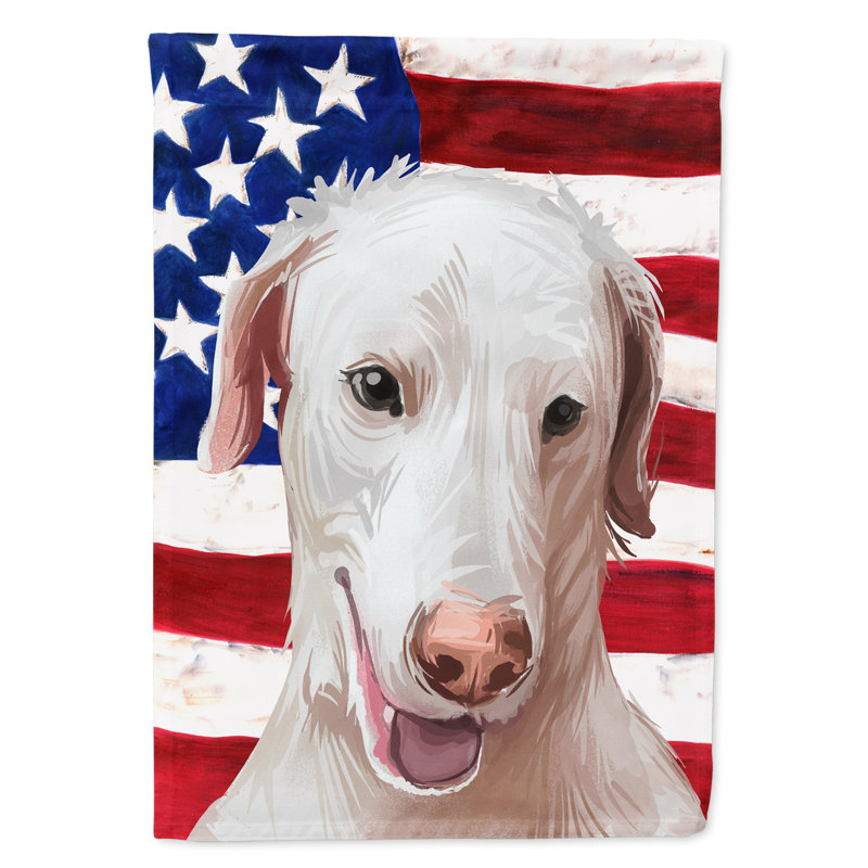 Polyester à 2 côtés 28 x 40 po drapeau maison, Chien poligar de Rajapalayam
