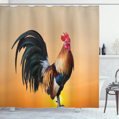 Shower Curtain with Hooks Included