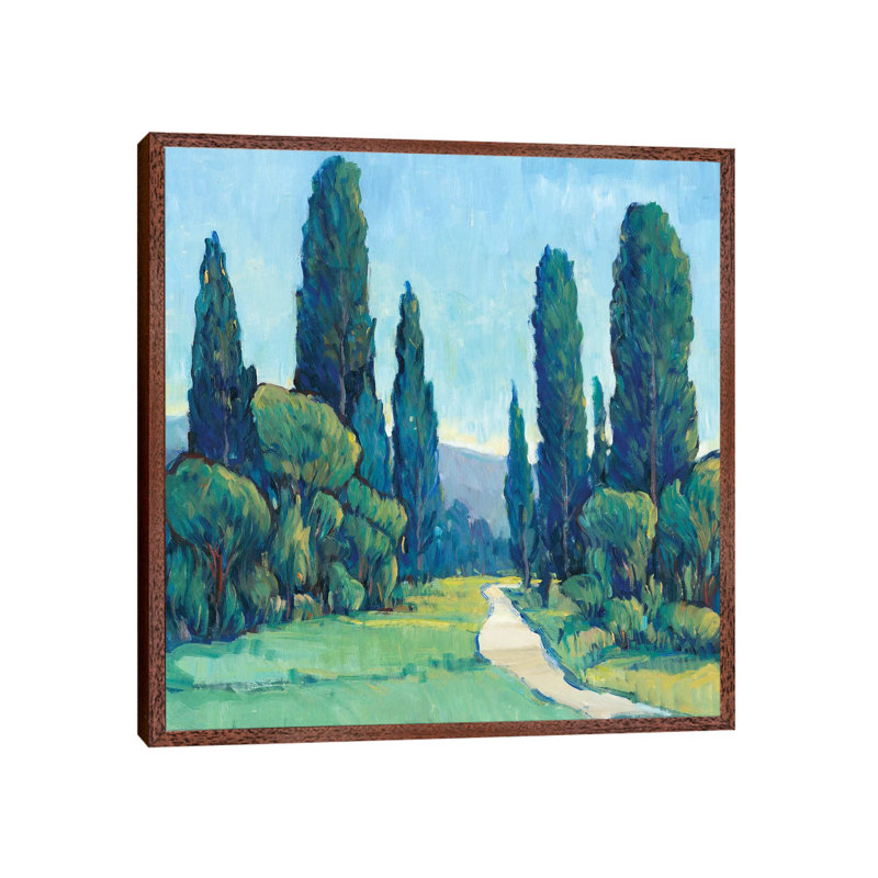 Cypress Path II by Tim OToole - Gallery-Wrapped Canvas Giclée on Canvas, Classic Wood Floater Framed, 93.98 cm H x 93.98 cm W