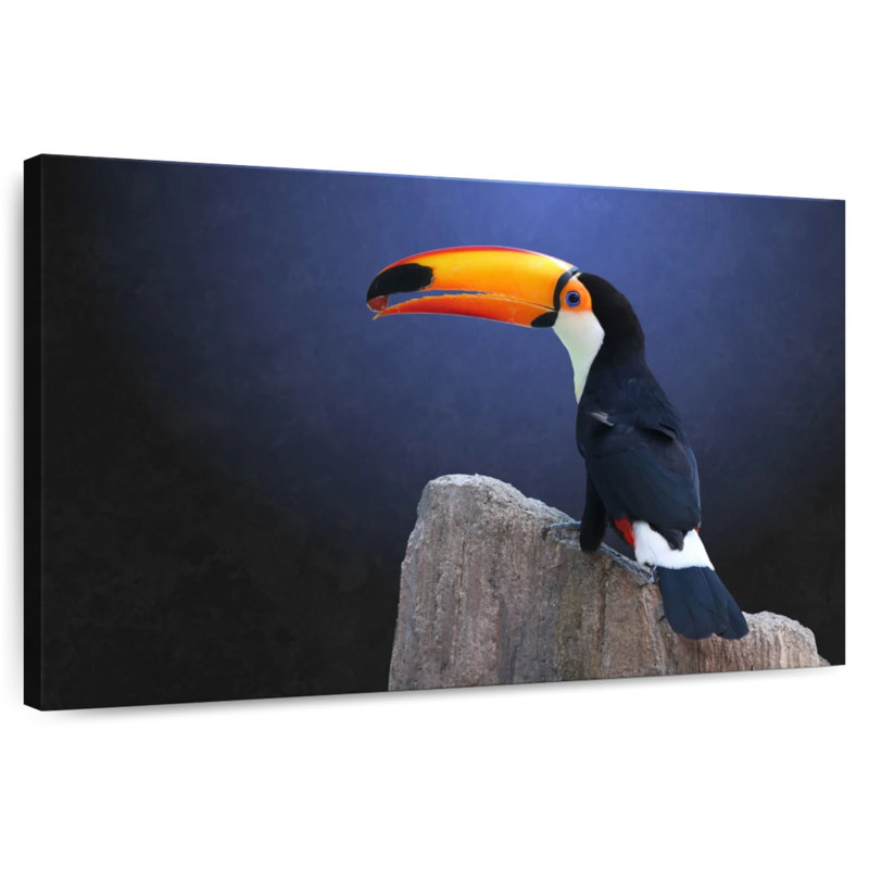 Toucan With Grape, 16" H x 24" W