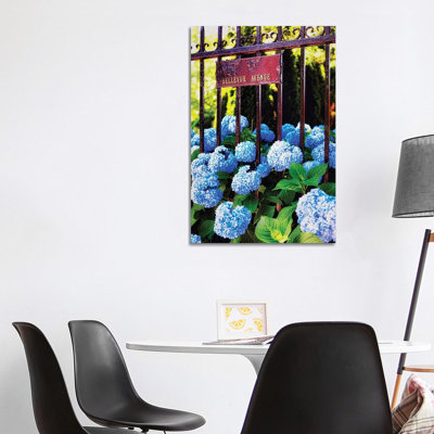 Hydrangea, Bellevue Avenue, Newport, Rhode Island 1 Piece Wrapped Canvas Wall Art