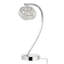 Arched Lamp