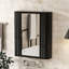 Armoire à pharmacie murale avec miroir, 2 tablettes intérieures, conception moderne, au-dessus de la toilette, fermeture sécurisée, cadre en acier, miroir à porte simple noir facile à nettoyer pour le rangement, look, fixe
