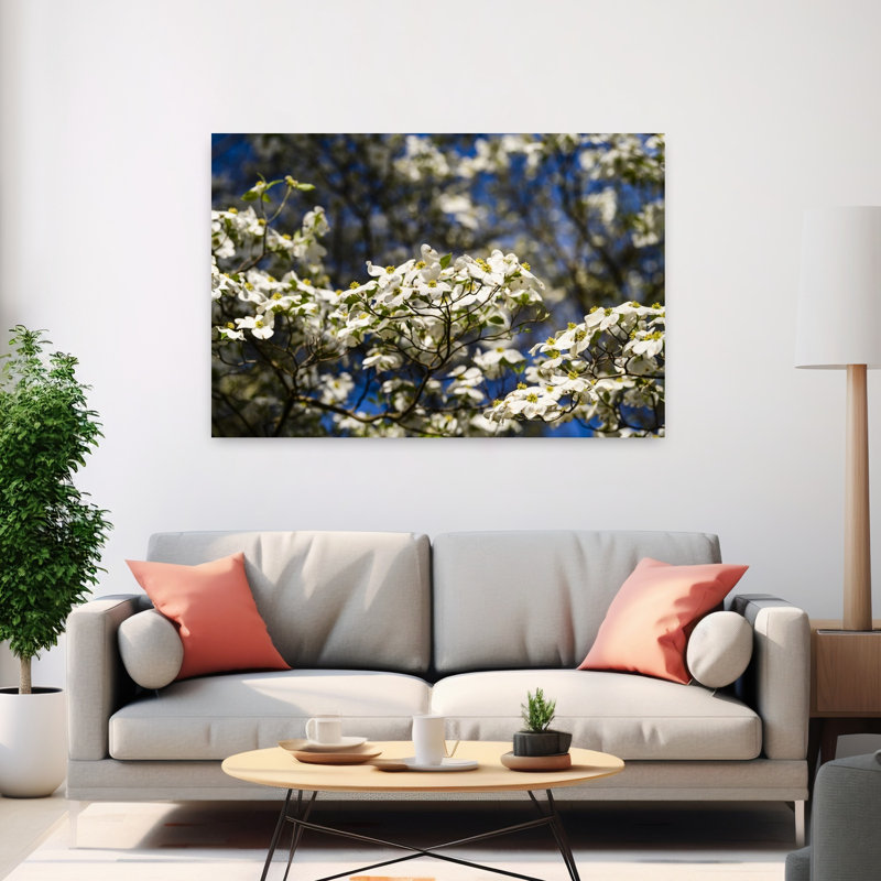 Close-up Of Flowering Dogwood Flowers On Branches Atlanta Georgia USA by Ellis Vener - Wrapped Canvas Print