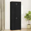 Storage Cabinet
