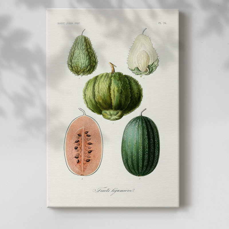 Fruit & Vegetable Varieties VIII -Gallery Wrapped Cavas, 60" H x 40" W