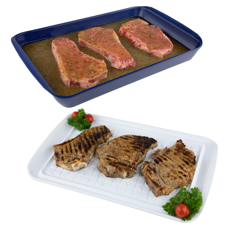 https://assets.wfcdn.com/im/20878375/resize-h755-w755%5Ecompr-r85/2318/231892186/Tovolo+Prep+%26+Serve+Large+Marinade+Tray+Set+With+White+Tray+And+Stratus+Blue+Base+-+Large.jpg