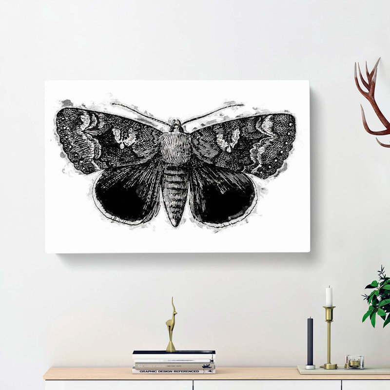 Epione Underwing Moth by S.F. Denton - Wrapped Canvas, 50cm H x 76cm W x 3cm D