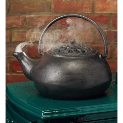 Bouilloire à vapeur