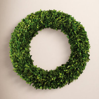 Birch Lane™ Alby 31" Boxwood Wreath