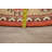 Oriental Indoor Rug