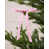 pink is out of stock selected