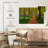 Alvord Hallerbos Beech Path-108887397