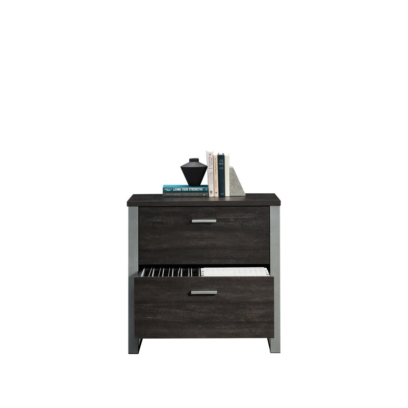 Contemporary 2-Drawer Filing Cabinet With Metal Frame