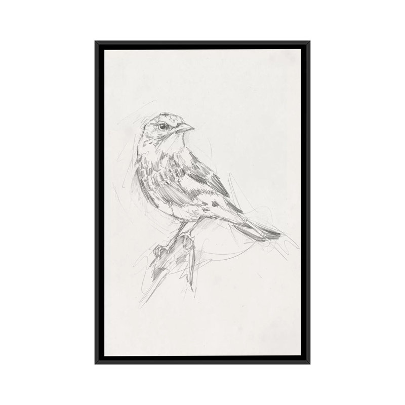 «Avian Study I» par Ethan Harper - reproduction d'art, H 26 po x l 18 po x 1,5 po, Toile avec cadre noir, Pas de tapis