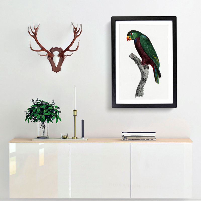 Red-Billed Parrot by F. Levaillant - Picture Frame Painting Print, 48cm H x 36cm W x 2cm D, Black Framed
