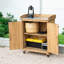 Banc de rempotage extérieur en bois avec roulette, armoire de rangement extérieure et table de travail de plantation horticole