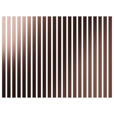 Adjustable Acrylic Slat Wall Panel Kit