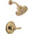 Lumicoat Champagne Bronze