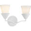 Two-Light Contemporary Vanity Light-100013143