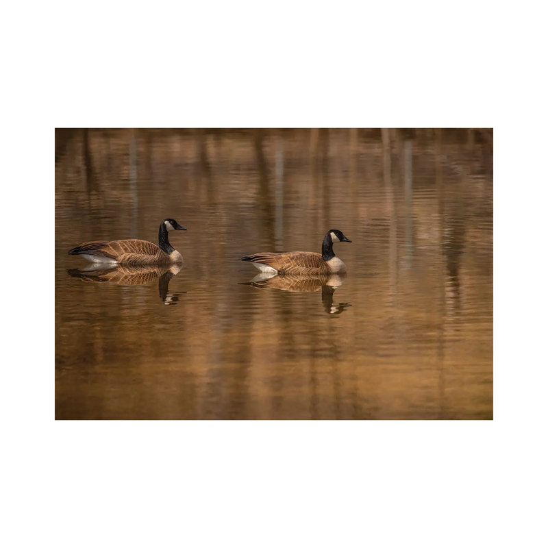 Mirror Image by Louis Ruth - Wrapped Canvas Print, 20.32 cm H x 30.48 cm W