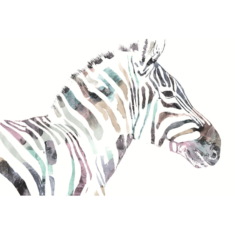 Tie Dye Zebra - Wrapped Canvas Painting, 30cm H x 46cm W x 3.8cm D