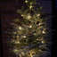 String Lights-2115221919