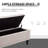 Caffin Upholstered Flip Top Storage Bench-2144257854