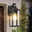 Schlesinger Matte Black 34.92cm H Outdoor Wall Lantern