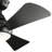 Sola 44'' Ceiling Fan with LED Lights