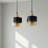 Elysian 2-Light Adjustable Linear Pendant