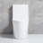 Small Compact One Piece Toilet Dual Flush