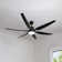Leibman 6-Blades 66" Ceiling Fan with Remote Control and LED Light