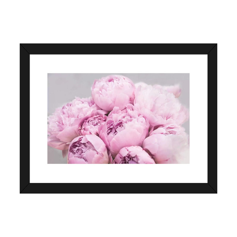 Pivoines par Sissi & Seb - reproduction de photo, H 16 po x l 24 po x P 1 po, Papier encadré noir, Blanc