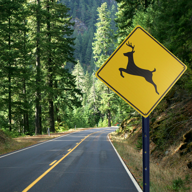 Warning Deer Crossing XING Road Street Caution Sign Rustic Man Cave Wall Decor