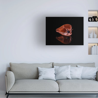 Thierry Lagandre Simple Graine Canvas Art