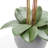 FLORAL 25IN DOUBLE STEM ORCHID-441176213