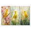 Oiseau canari dans les fleurs I - Collection moderne de reproductions sur toile-513795589-513795591-513795642